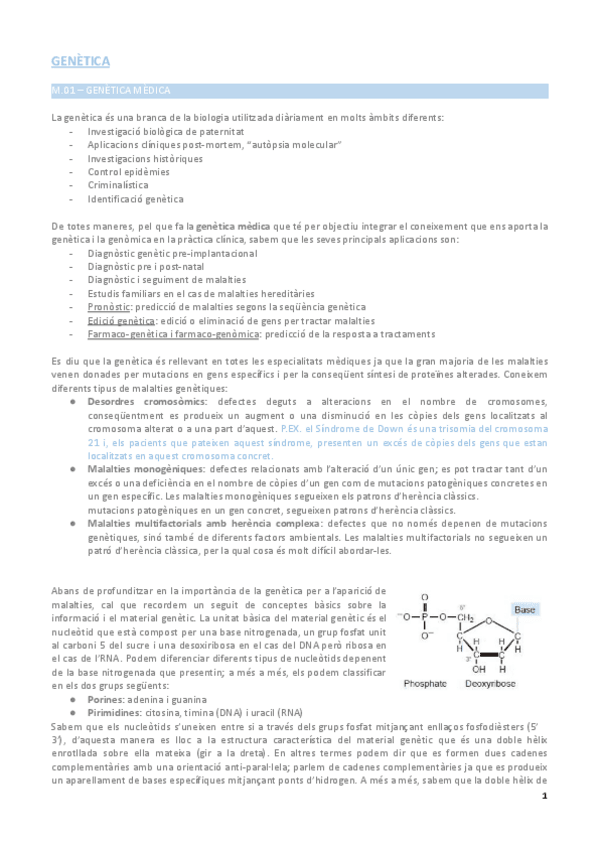 Miniatura del documento genetica-magistrals.pdf