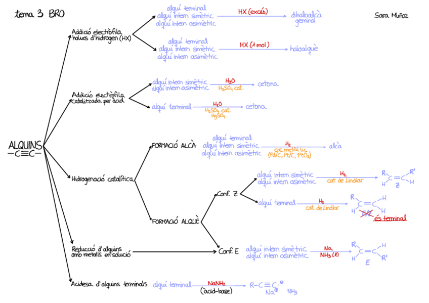 Miniatura del documento Esquemes-BRO.pdf