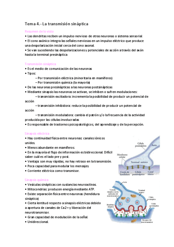 Miniatura del documento Tema-4-La-transmision-sinaptica.pdf