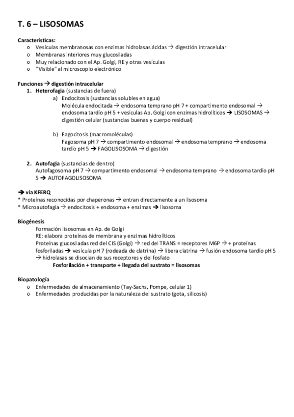 Miniatura del documento Lisosomas-y-peroxisomas.pdf