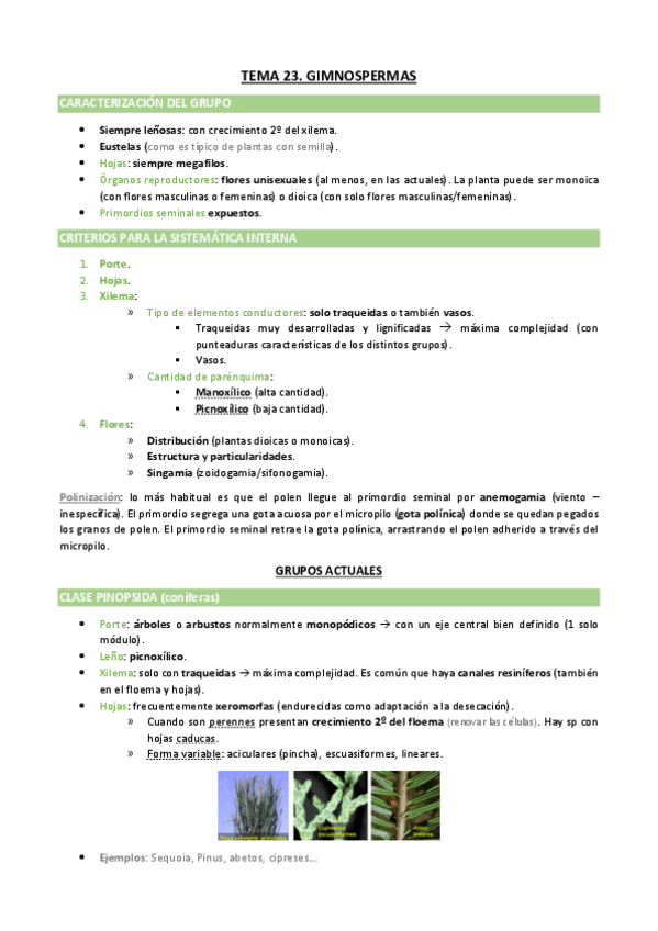 Miniatura del documento TEMA-24.pdf