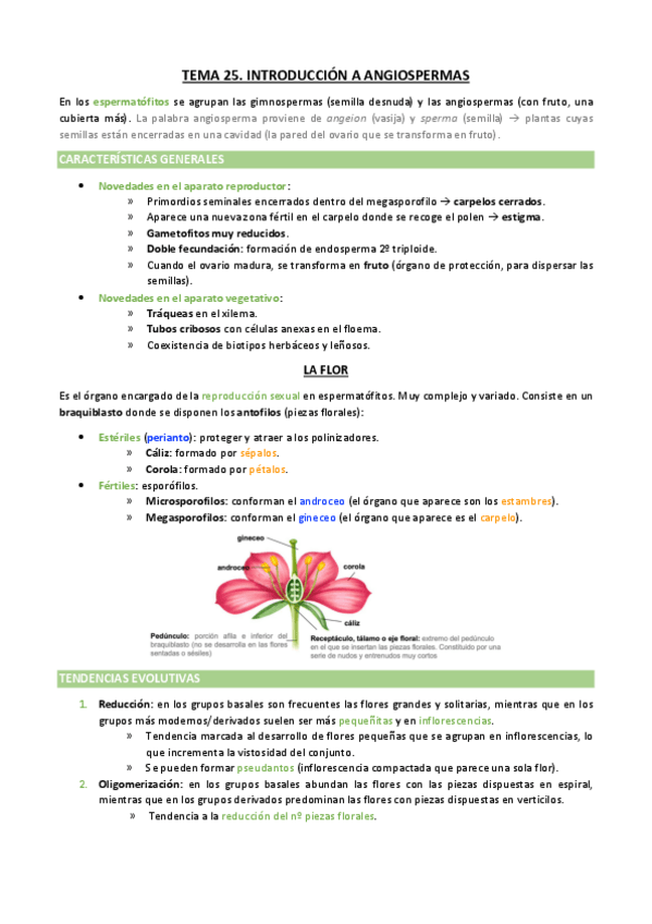 Miniatura del documento TEMA-25.pdf