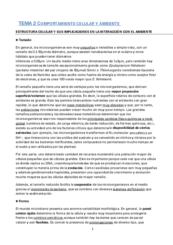Miniatura del documento BLOQUE-II-TEMAS-2-Y-3.pdf