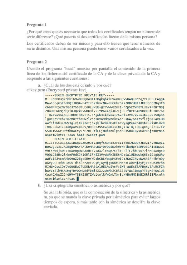 Miniatura del documento SI-Practicas.pdf