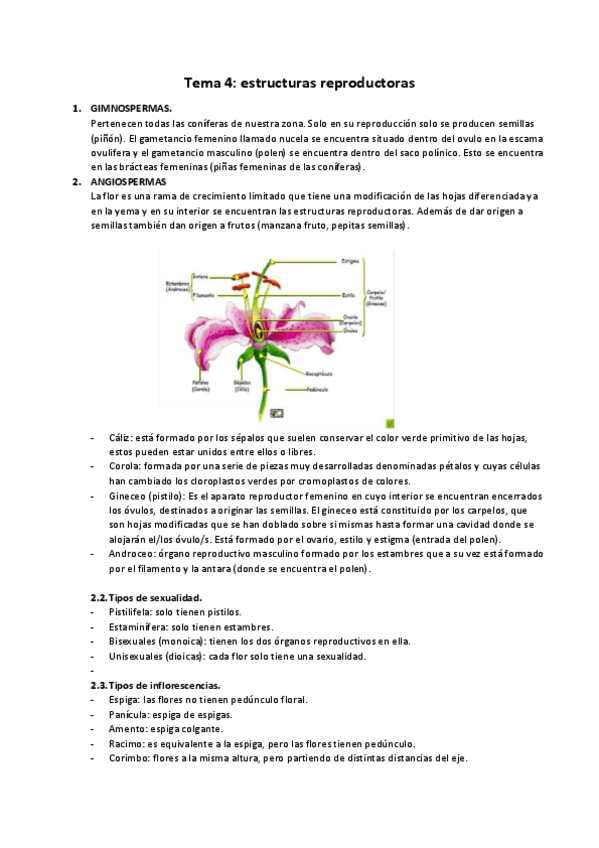 Miniatura del documento Tema-4.pdf