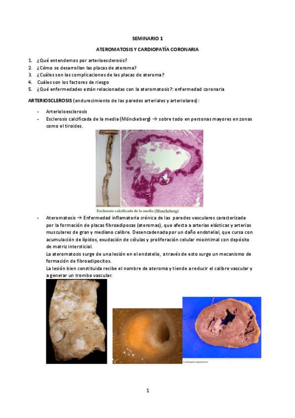 Miniatura del documento SEMINARIO 1.pdf