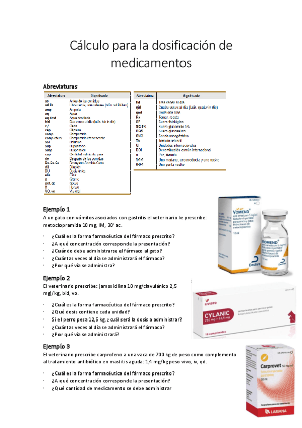 Miniatura del documento Seminario-calculo-de-dosis.pdf