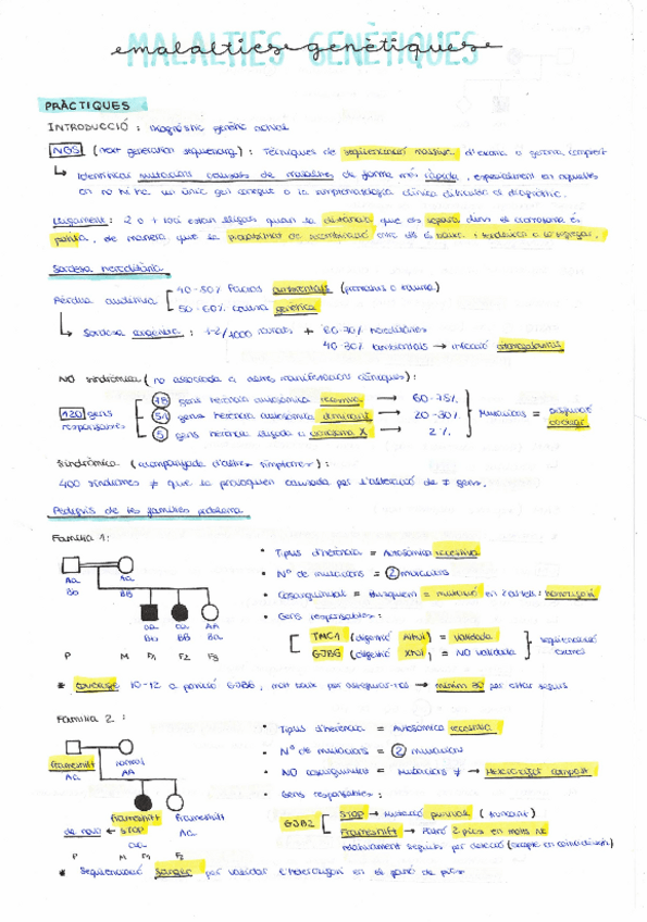 Miniatura del documento BASES-GENETIQUES-PractiquesExercicis.pdf