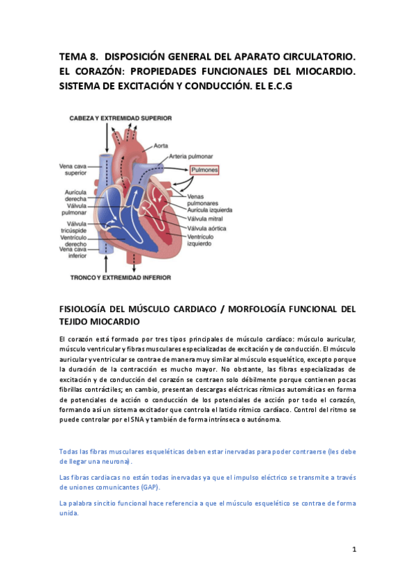 Miniatura del documento Apuntes cardio GUYTON