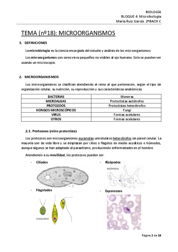 Miniatura del documento Tema-18-Microorganismos.pdf