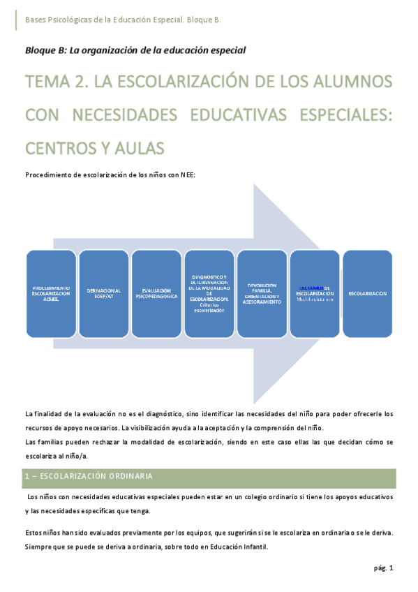 Miniatura del documento B-organizacion-de-la-educaion-especial.pdf