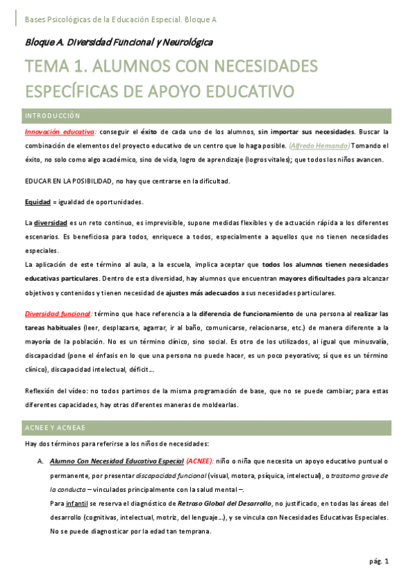 Miniatura del documento A-Diversidad-Funcional-y-Neurologica.pdf