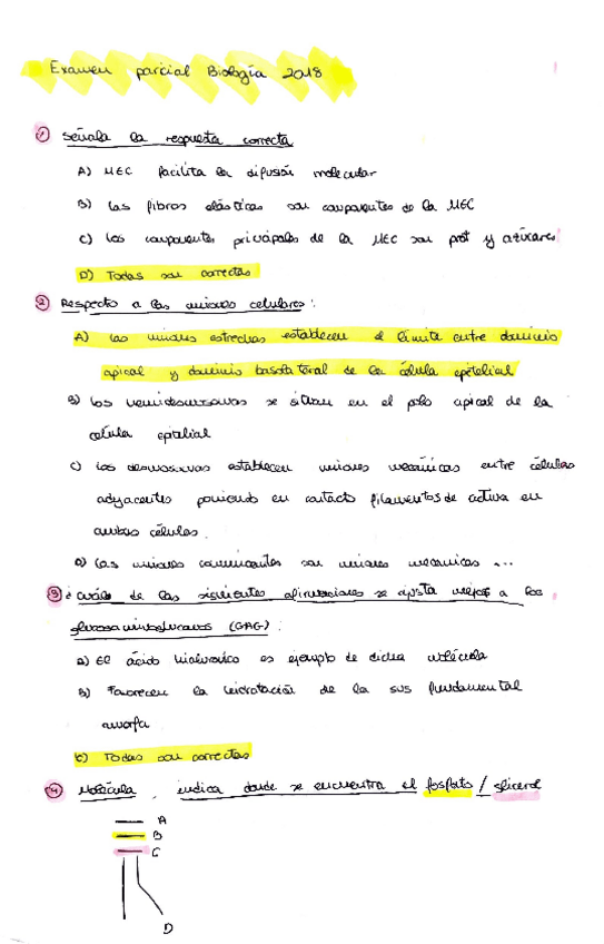 Miniatura del documento Examen-parcial-bio-2018.pdf