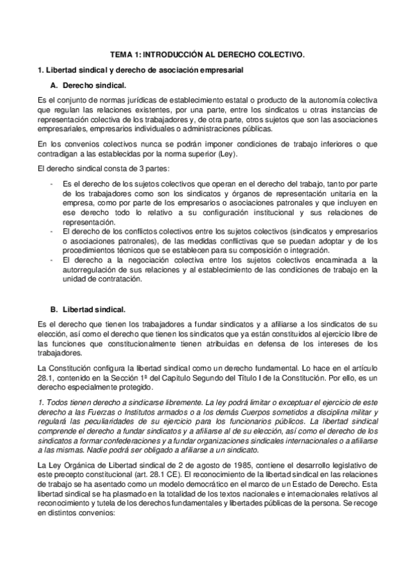 Miniatura del documento DERECHO-COLECTIVO-COMPLETO.pdf