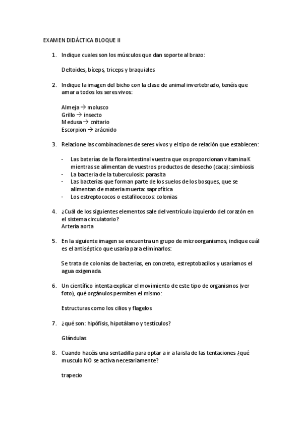 Miniatura del documento parciales-didactica.pdf