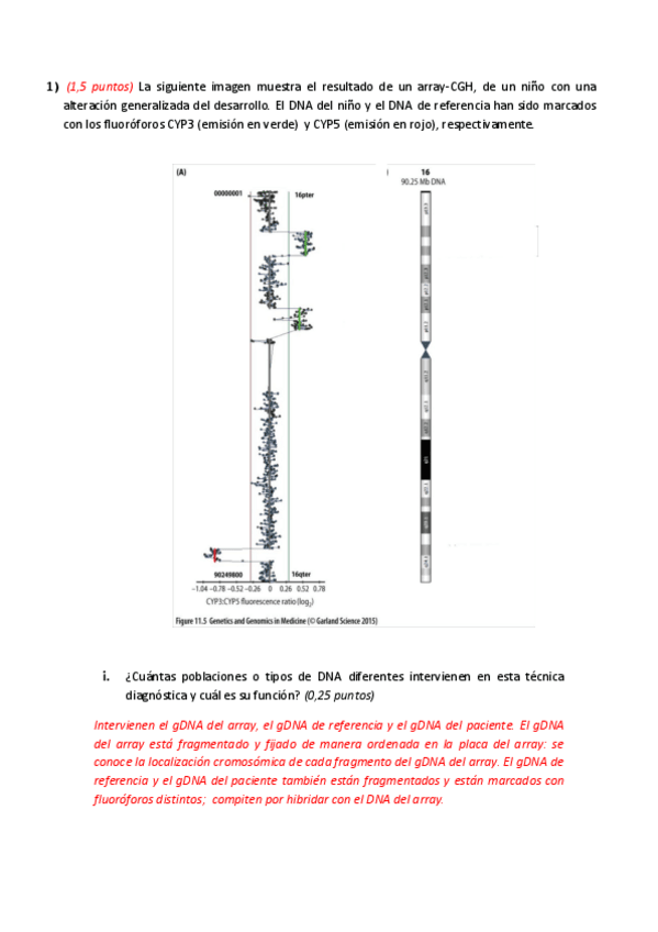 Miniatura del documento examenesgenetica.pdf