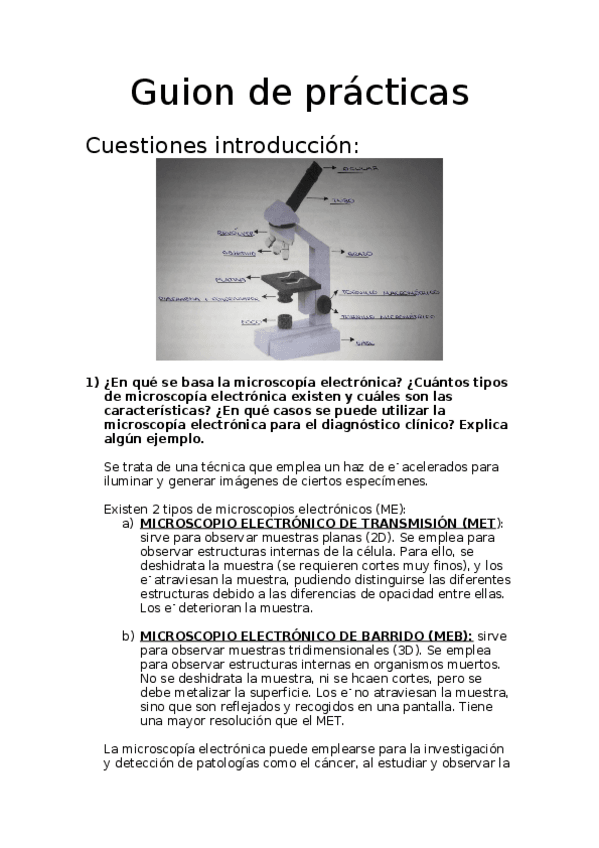Miniatura del documento GUION-DE-PRACTICAS-BG.docx