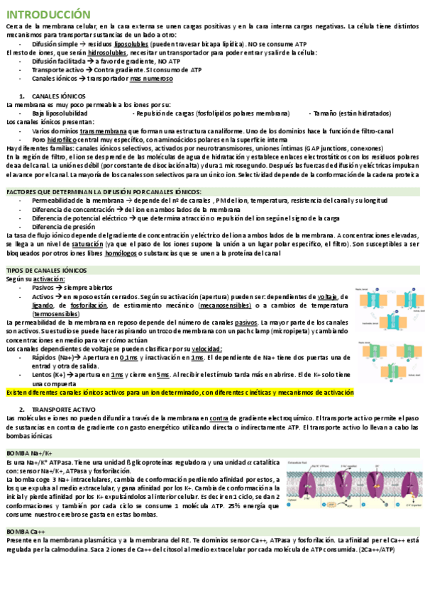 Miniatura del documento Fisiologia-1r.pdf
