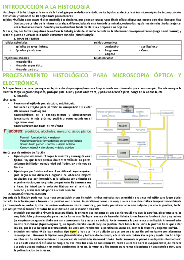 Miniatura del documento Histologia-1r.pdf