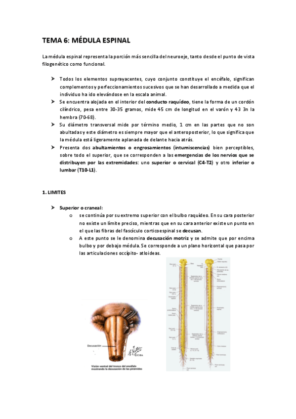 Miniatura del documento anato-7.pdf