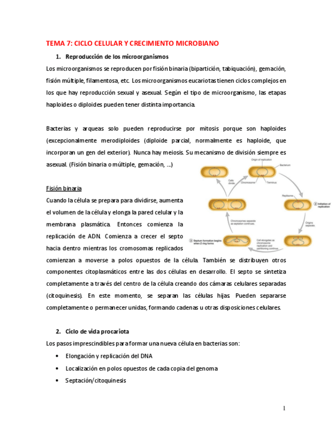 Miniatura del documento olga.pdf