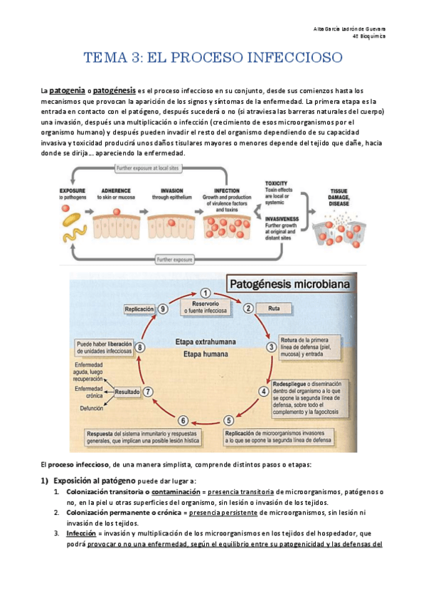 Miniatura del documento TEMA-3.pdf