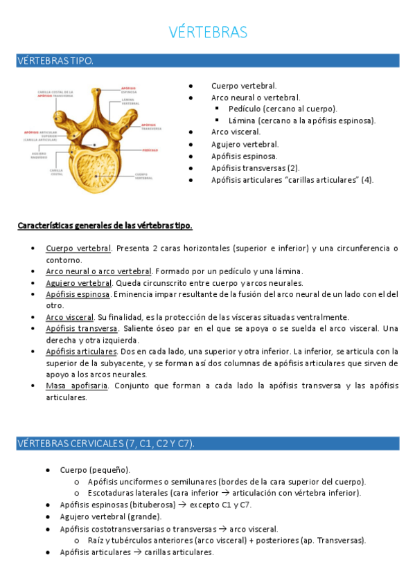 Miniatura del documento ANATOMIA-I.pdf
