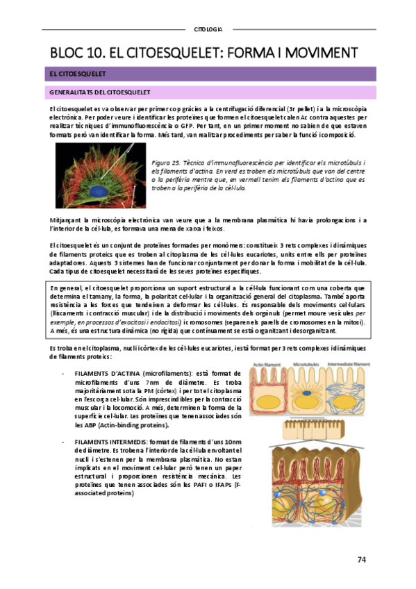 Miniatura del documento CITOLOGIA-PARTE-2.pdf
