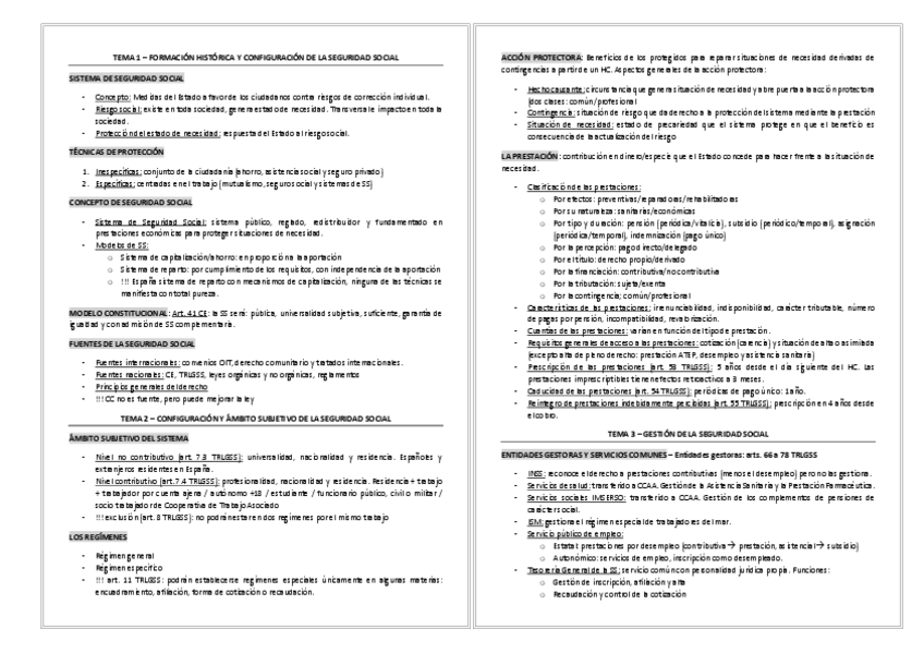 Miniatura del documento RESUMEN-FINAL-SS.pdf