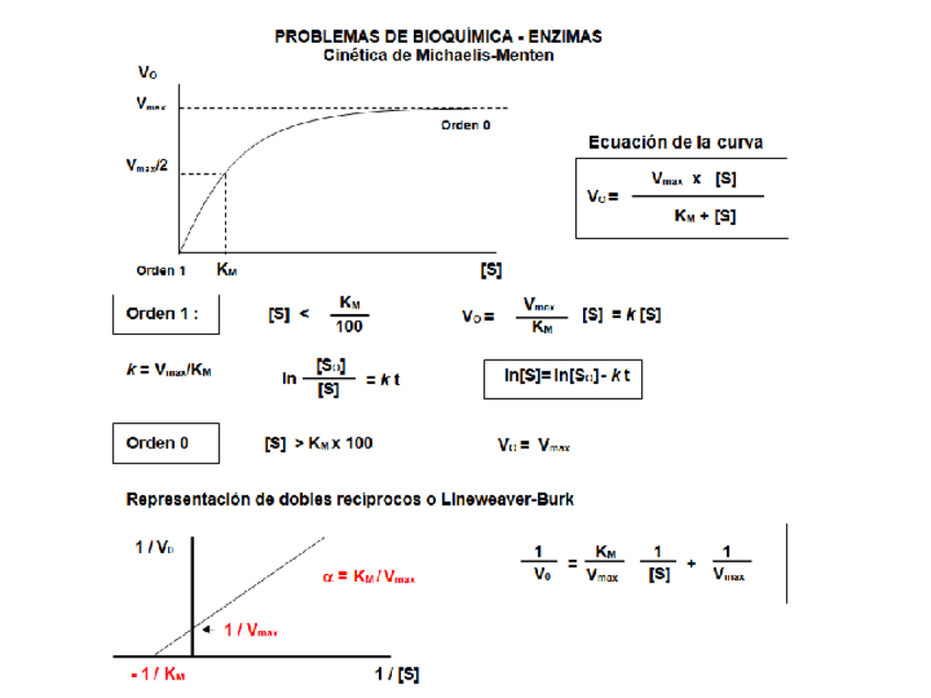 Miniatura del documento Problemas-CineticaEnz-resueltos1.pdf