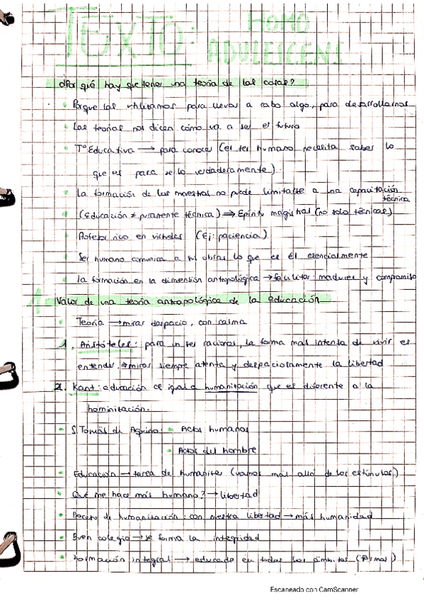 Miniatura del documento HOMO-ADULESCENS-P.pdf