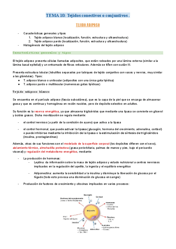 Miniatura del documento HISTOLOGIA-CELIARODRIGUEZCOLLADO-1.pdf