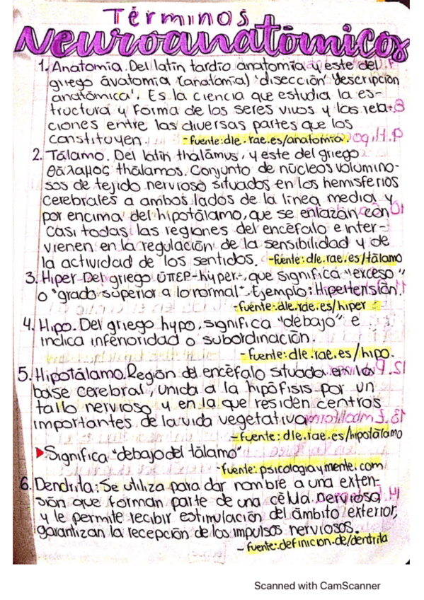 Miniatura del documento Terminos-Neuroanatomicos.pdf