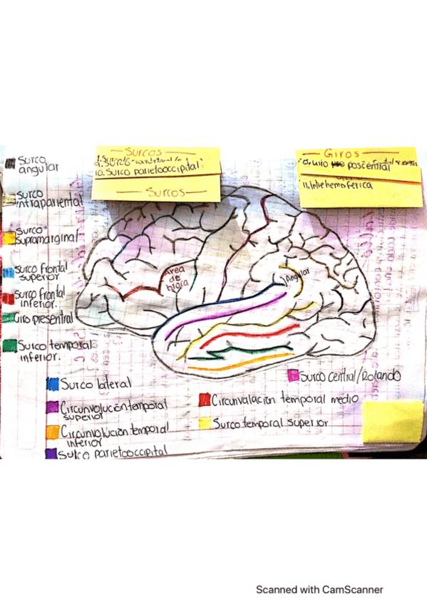Miniatura del documento Surcos-y-GirosUbicaciones.pdf