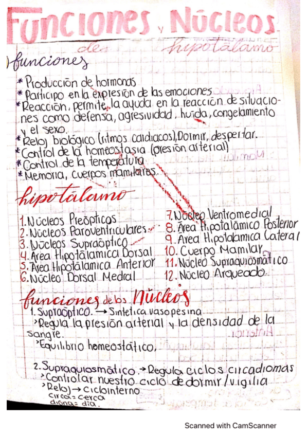 Miniatura del documento Funciones-y-Nucleos.pdf