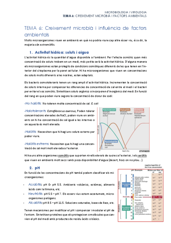 Miniatura del documento Tema-6.pdf