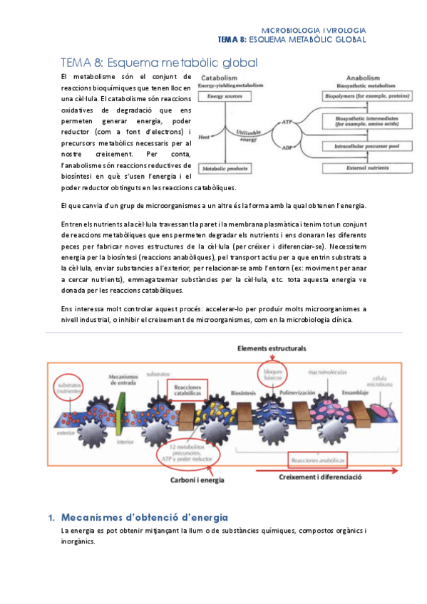 Miniatura del documento Tema-8.pdf