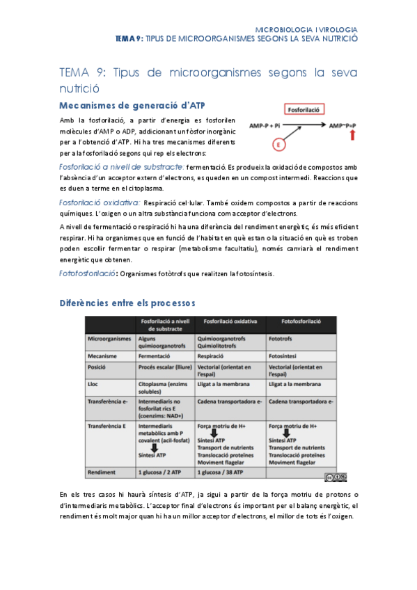 Miniatura del documento Tema-9.pdf