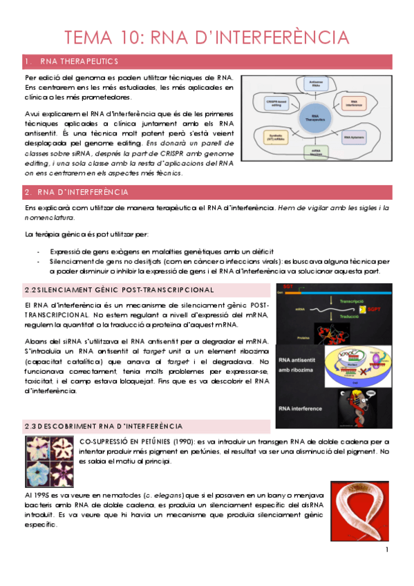 Miniatura del documento TEMA-10-1-RNA-INTERFERENCIA.pdf