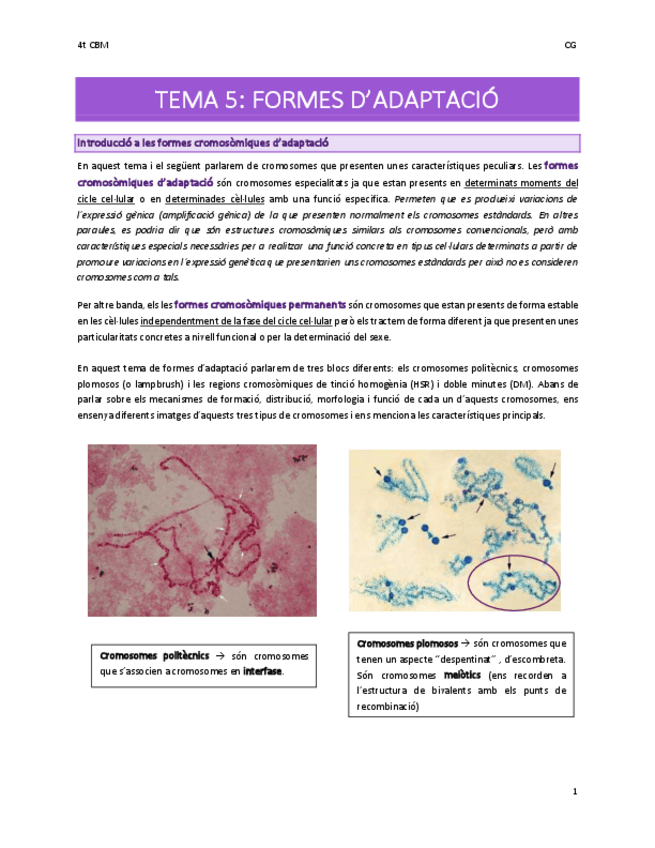 Miniatura del documento Tema-5-Formes-dadaptacio.pdf