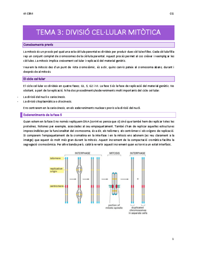 Miniatura del documento Tema-3-La-divisio-mitotica.pdf