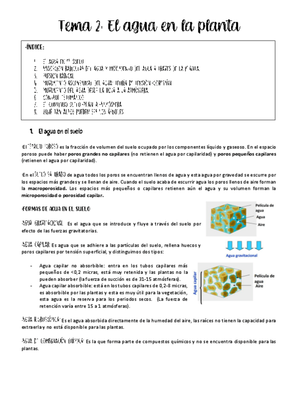 Miniatura del documento tema-2-fisio-vegetal-.pdf