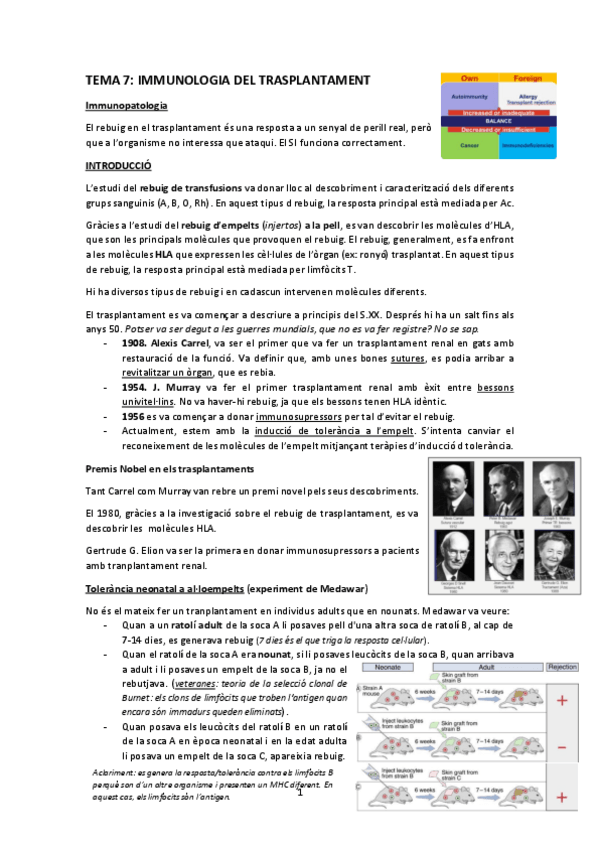 Miniatura del documento 7.pdf
