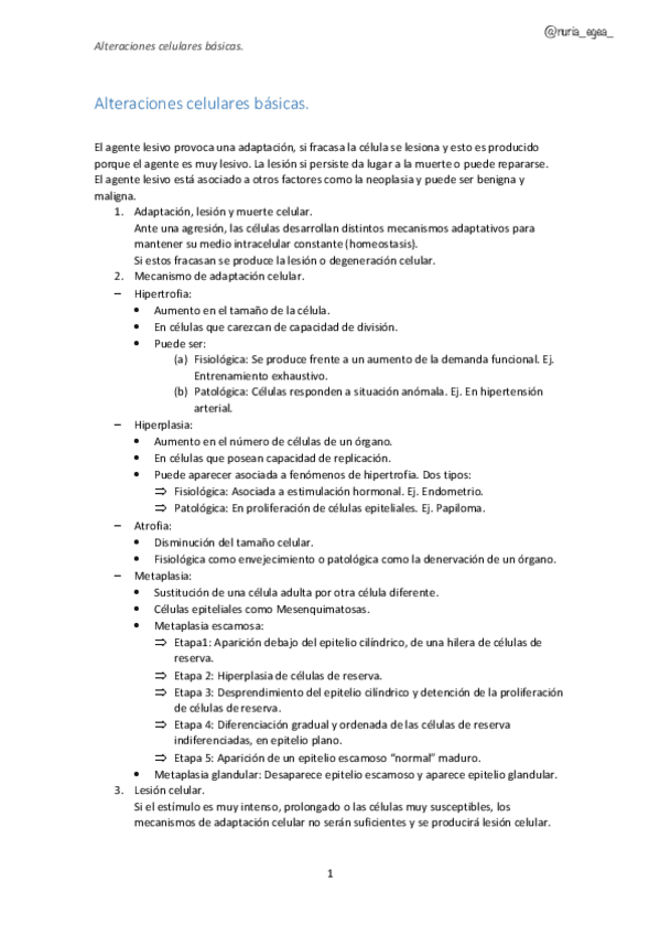 Miniatura del documento 2.pdf