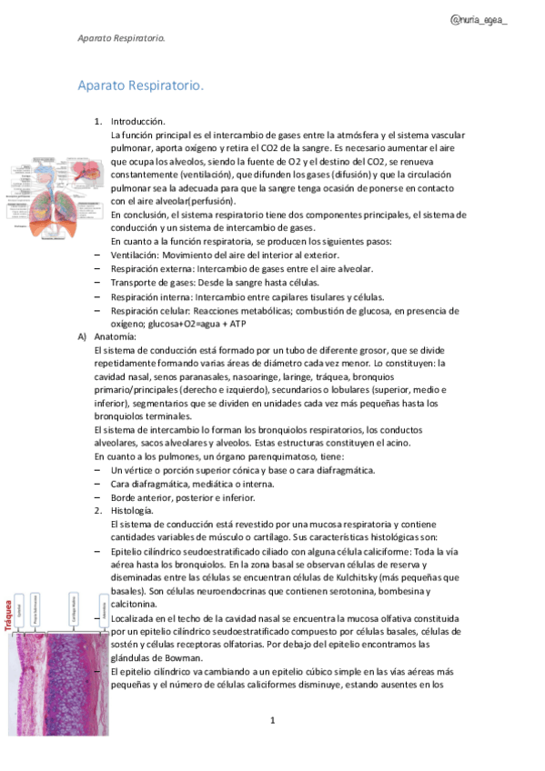 Miniatura del documento 3.pdf