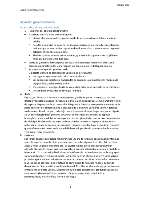 Miniatura del documento 4.pdf