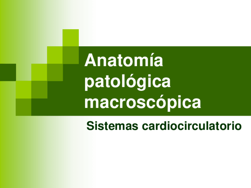 Miniatura del documento NECRO-UT11-01-CardioCirc-C.pdf
