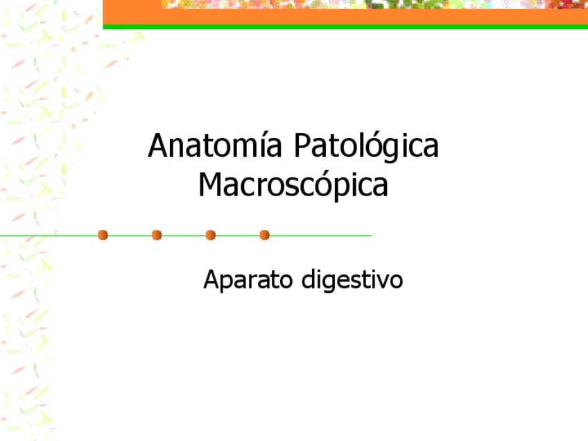 Miniatura del documento NECRO-UT11-03-Digestivo-F.pdf