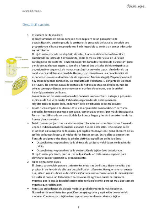 Miniatura del documento Descalcificacion.pdf