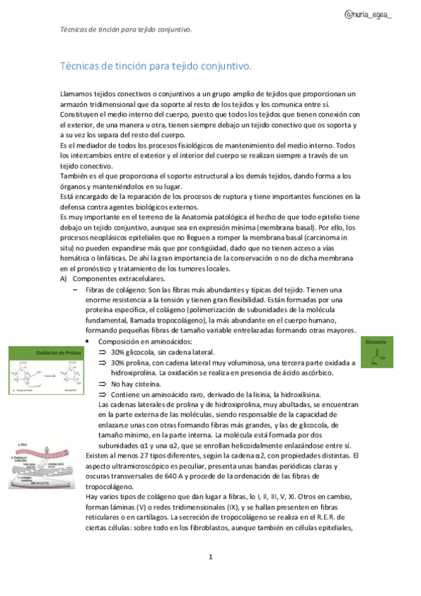Miniatura del documento Tecnicas-para-tincion-de-tejido-conjuntivo.pdf